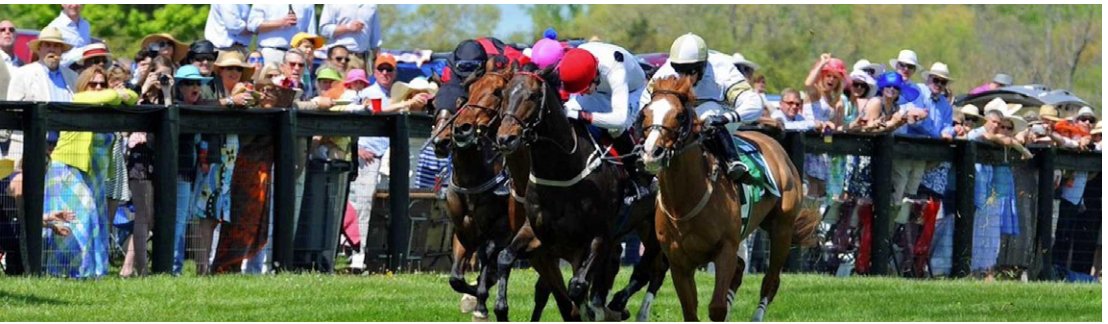 Photo: Gold Cup