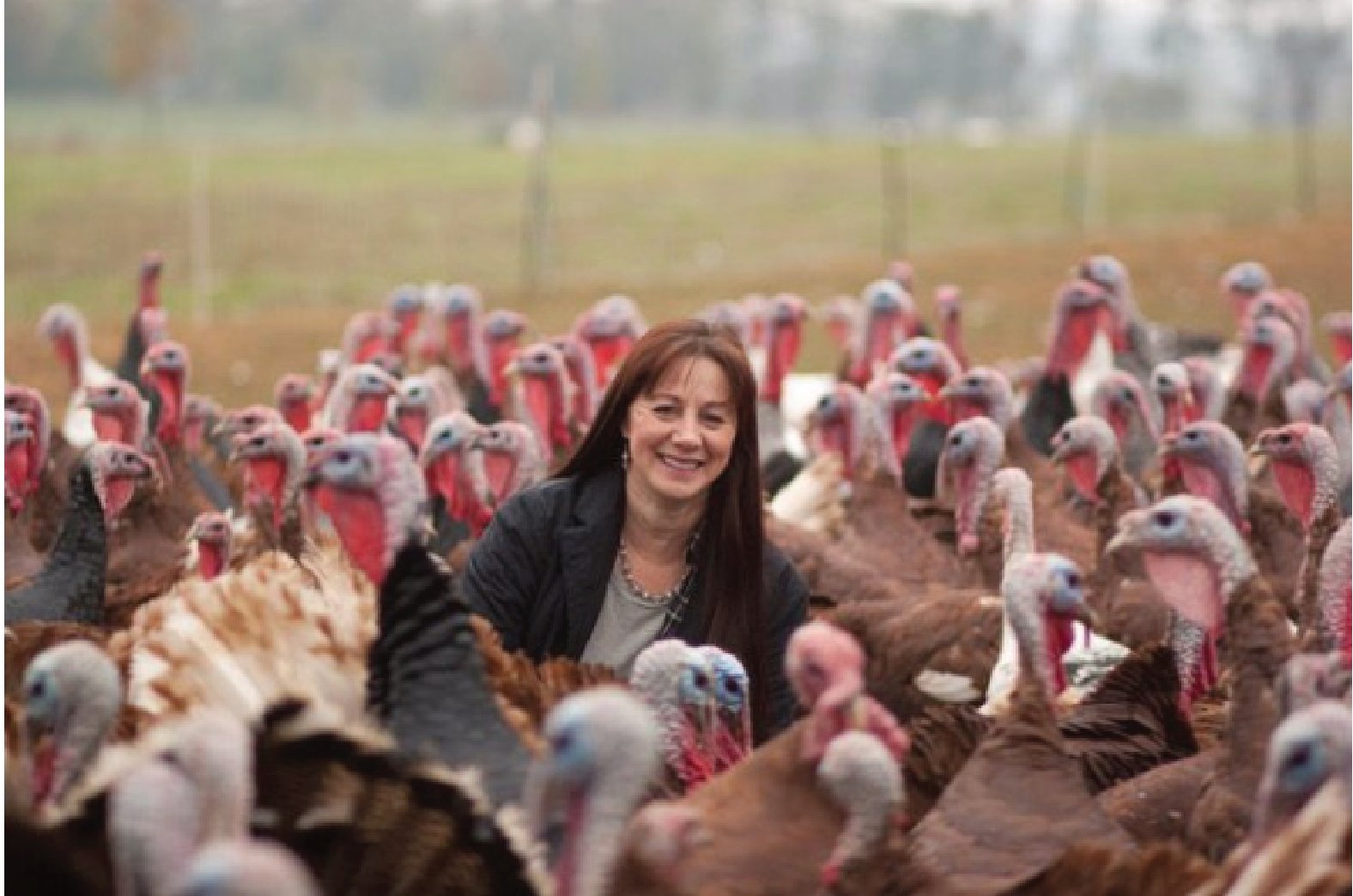 Sandy Lerner at her Ayrshire Farm in Upperville, Virginia.